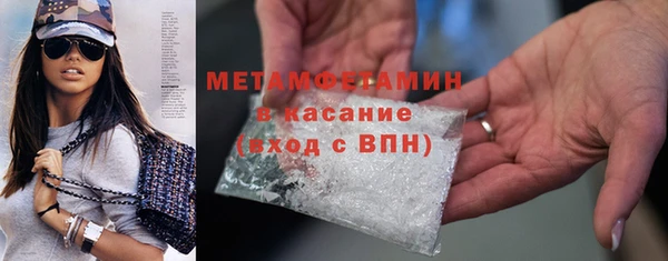 прущие грибы Переславль-Залесский