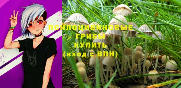трава Пестово