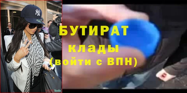 прущие грибы Переславль-Залесский