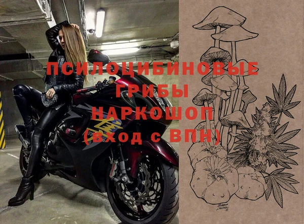 спайс Пересвет