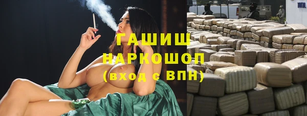 прущие грибы Переславль-Залесский