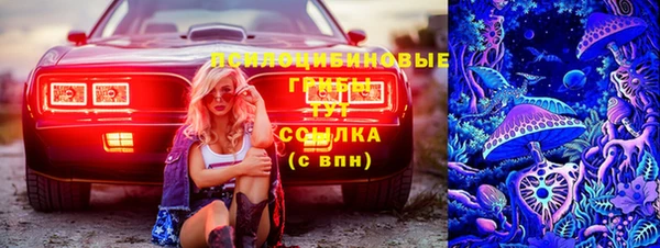 спайс Пересвет