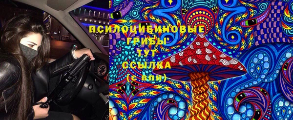 спайс Пересвет