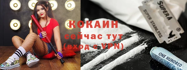 прущие грибы Переславль-Залесский