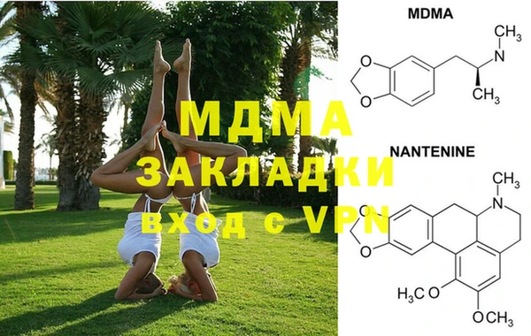 прущие грибы Переславль-Залесский