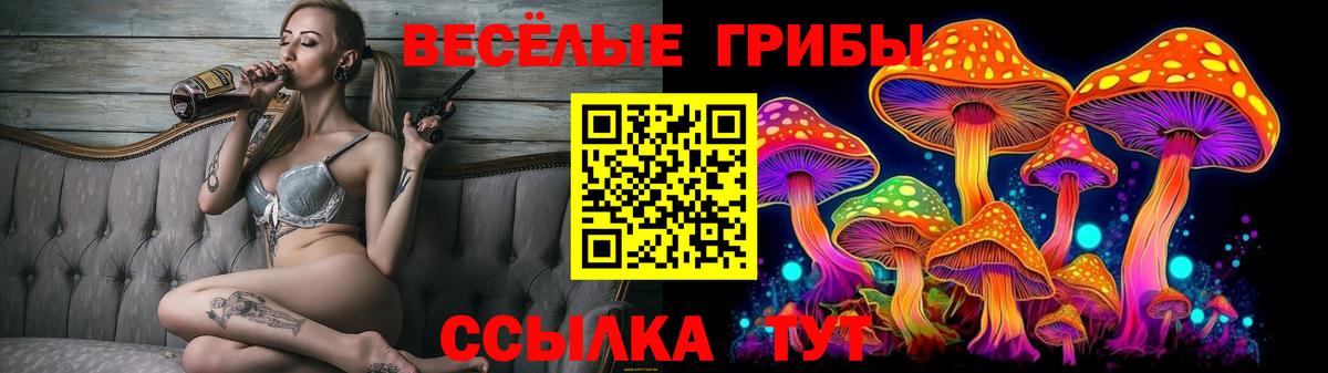 Галлюциногенные грибы Cubensis  Галлюциногенные грибы Magic Shrooms  Казань 